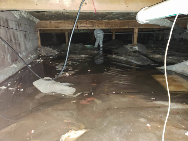 Trusted Water Damage Restoration in Wilsonville, AL | Fast, Reliable, and Ready to Assist You